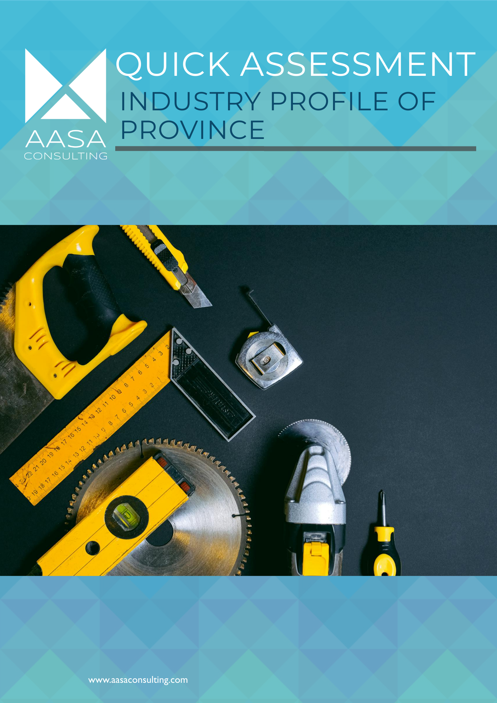 Quick Assessment Industry Profile of Province